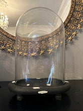 Load image into Gallery viewer, Large Oval Glass Dome with Rustic Base