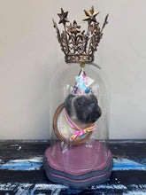 Load image into Gallery viewer, The Birthday Pug Display