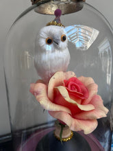 Load image into Gallery viewer, The White Owl Display