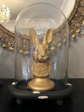 Load image into Gallery viewer, Large Oval Glass Dome with Rustic Base