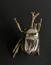 Load image into Gallery viewer, Gold Japanese Rhinoceros Beetle