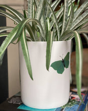 Load image into Gallery viewer, Butterfly Porcelain Planter
