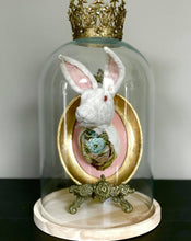 Load image into Gallery viewer, Hella Glass Dome With Wooden Base