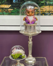 Load image into Gallery viewer, Prince Owl-Bert Decoration