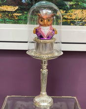 Load image into Gallery viewer, Prince Owl-Bert Decoration