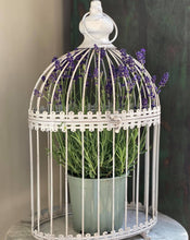 Load image into Gallery viewer, Cream Oval Bird Cage