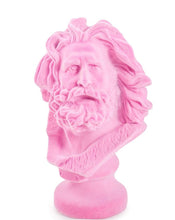 Load image into Gallery viewer, Pink Flocked Bust Of Marseillaise