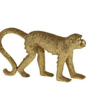 Load image into Gallery viewer, Miniature Gold Monkey