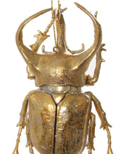 Load image into Gallery viewer, Gold Stag Beetle Ornament
