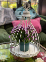 Load image into Gallery viewer, Cream Caged Planter