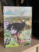 Load image into Gallery viewer, Fynbos Greetings Card