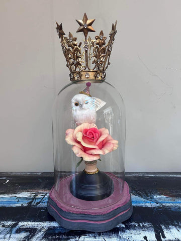 The White Owl Display