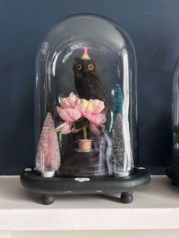 The Wise Owl Display